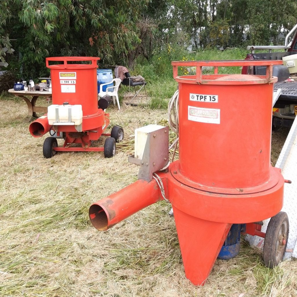 TPF-Risu1-1-1024×1024